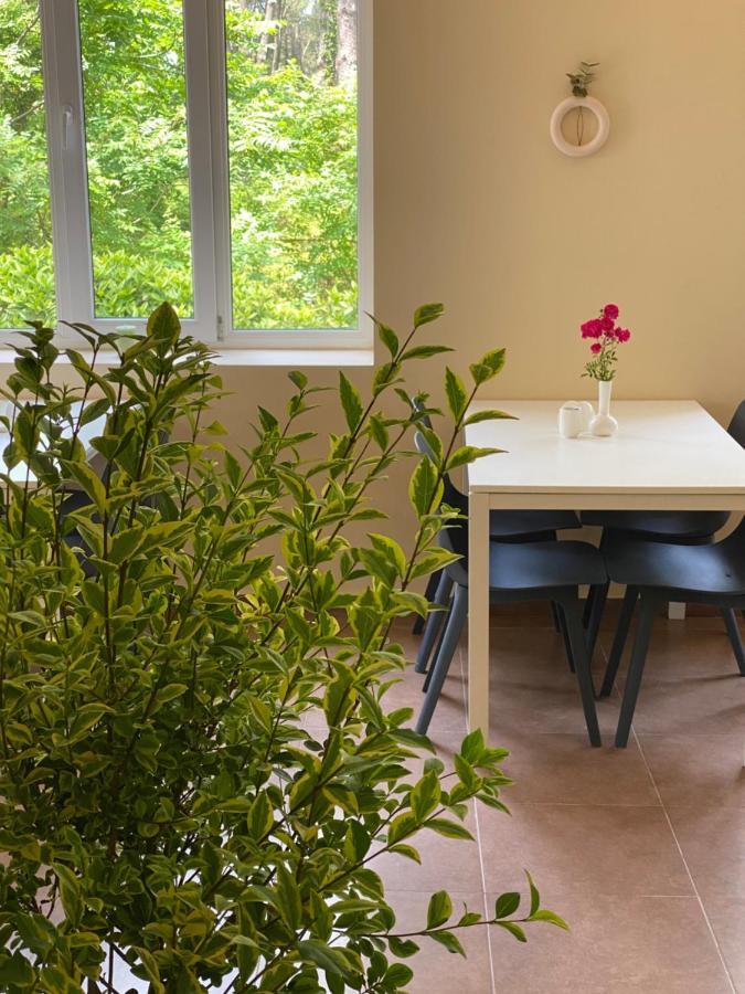 Buxus Hotel Shekvetili المظهر الخارجي الصورة