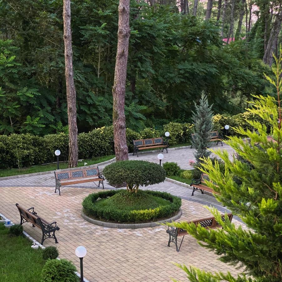 Buxus Hotel Shekvetili المظهر الخارجي الصورة