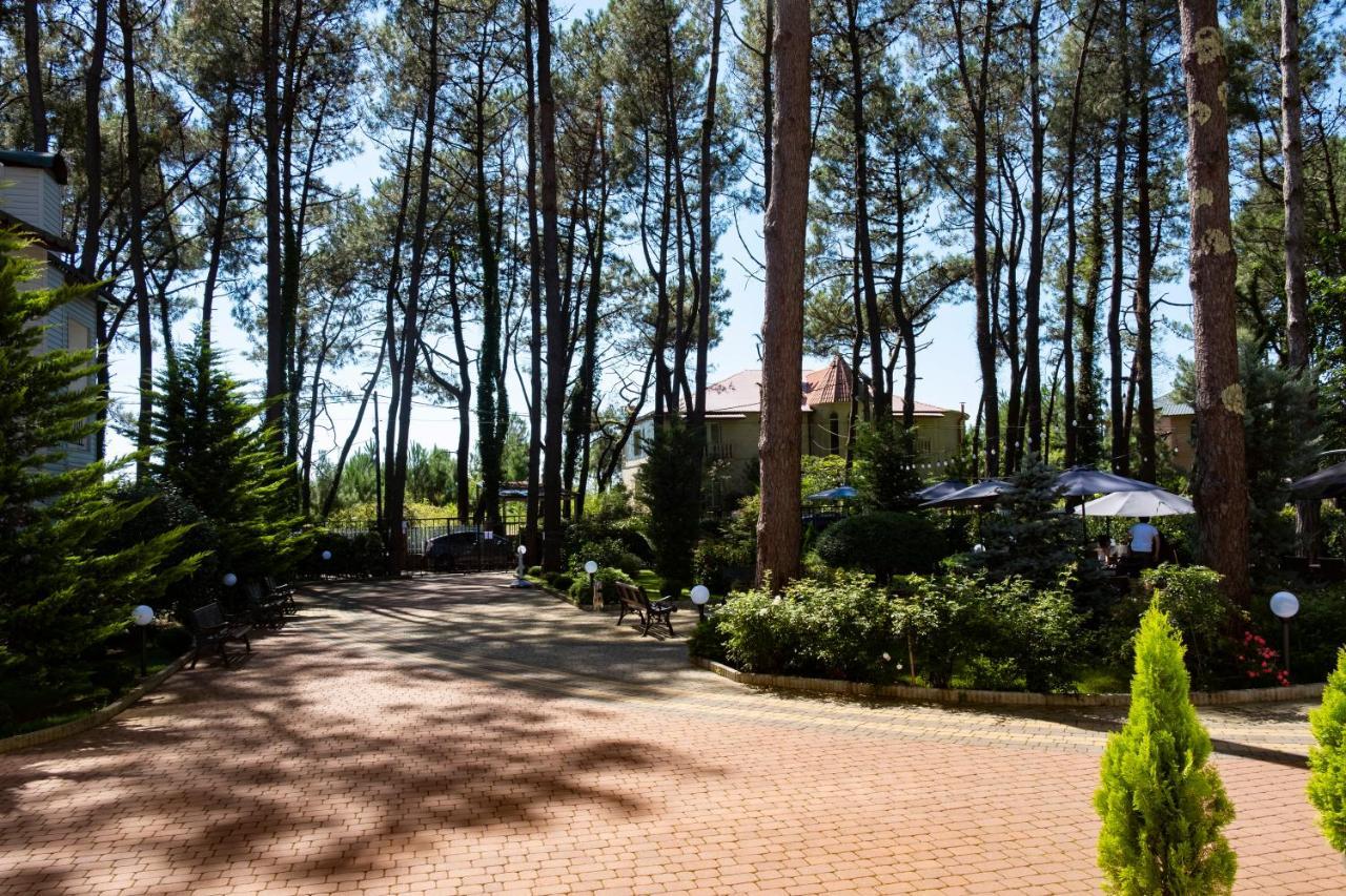 Buxus Hotel Shekvetili المظهر الخارجي الصورة