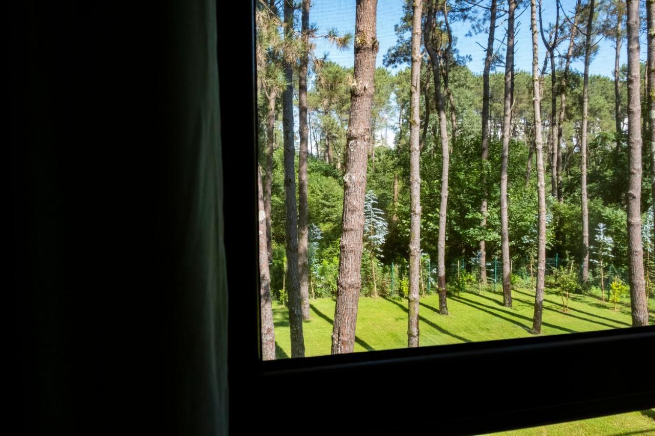 Buxus Hotel Shekvetili المظهر الخارجي الصورة