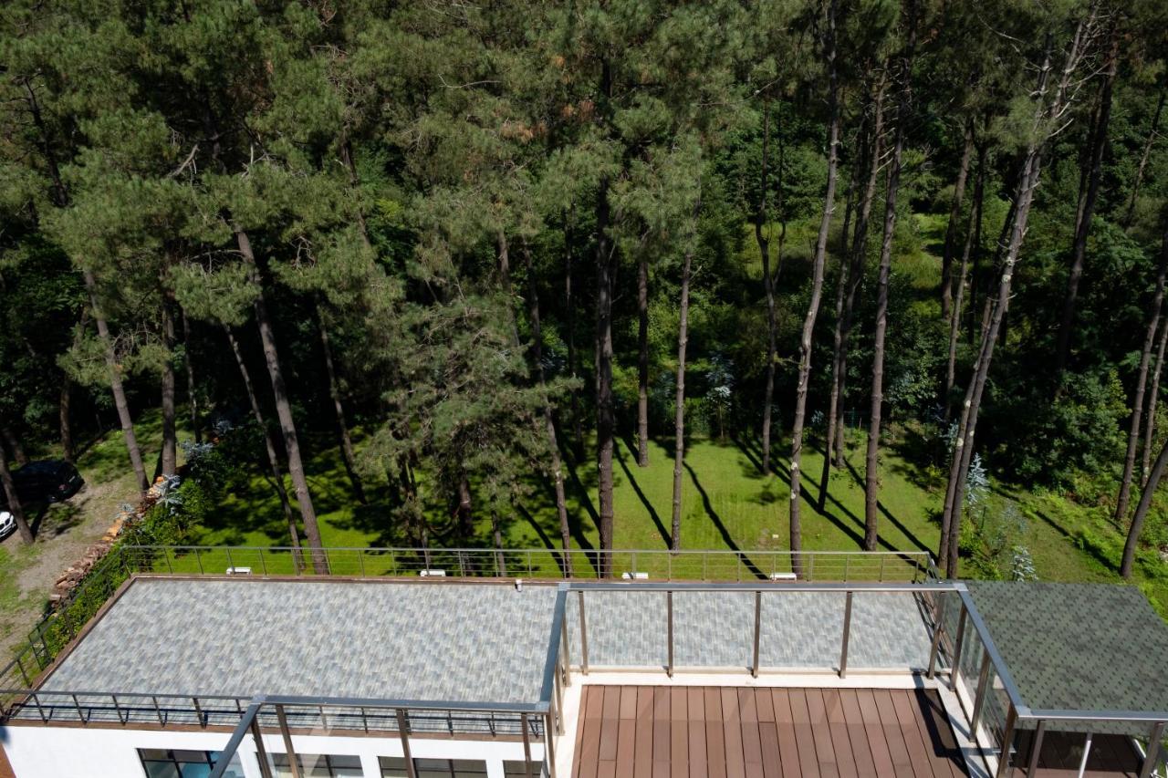 Buxus Hotel Shekvetili المظهر الخارجي الصورة