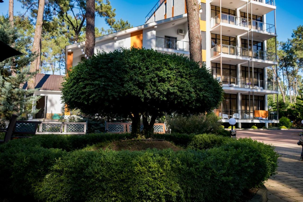 Buxus Hotel Shekvetili المظهر الخارجي الصورة