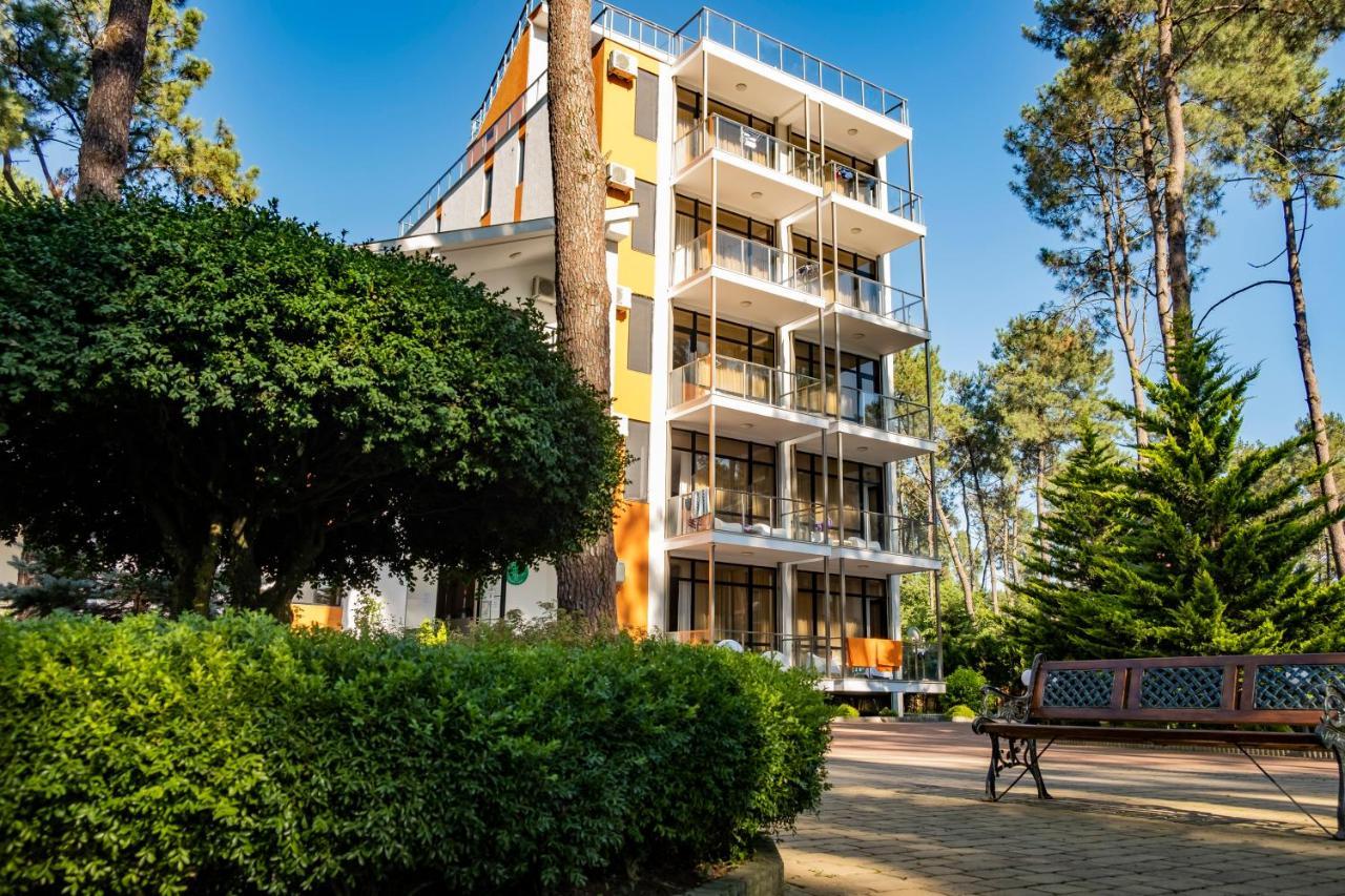 Buxus Hotel Shekvetili المظهر الخارجي الصورة